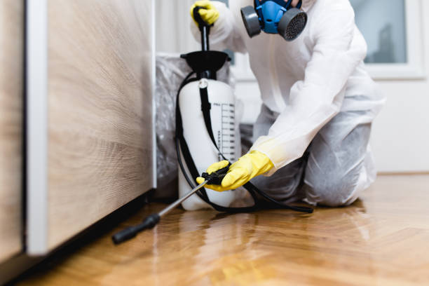 Best Pest Control Near Me  in San Juan Pistrano, CA