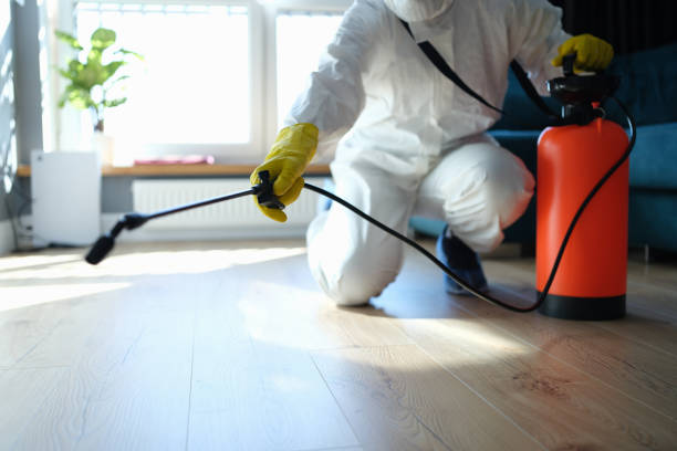 Reliable San Juan Capistrano, CA Pest Control Solutions